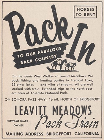 leavitt meadows pack train